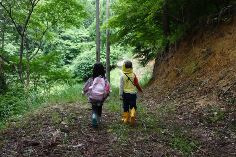 お家を支える木の話。森の遠足ツアー